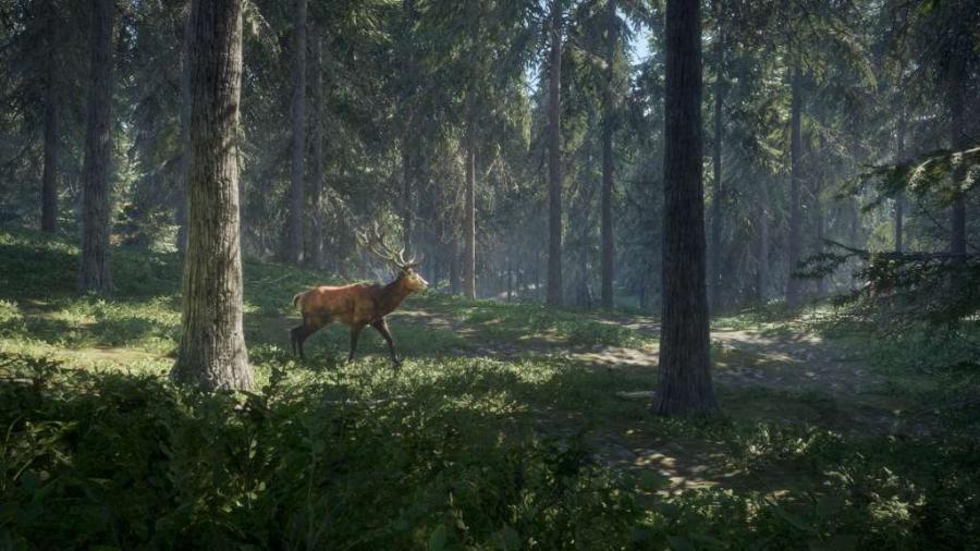 theHunter: Call of the Wild 