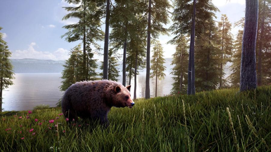 Hunting Simulator 2 Elite Edition 
