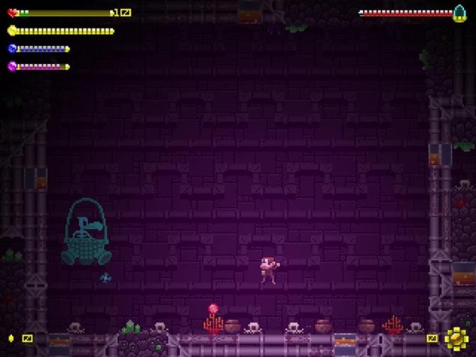 Adventure Apes and the Mayan Mystery 