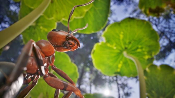 Empire of the Ants 