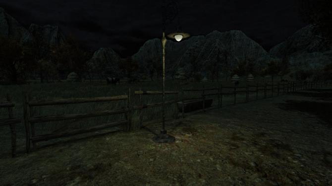 The Cows Are Watching 
