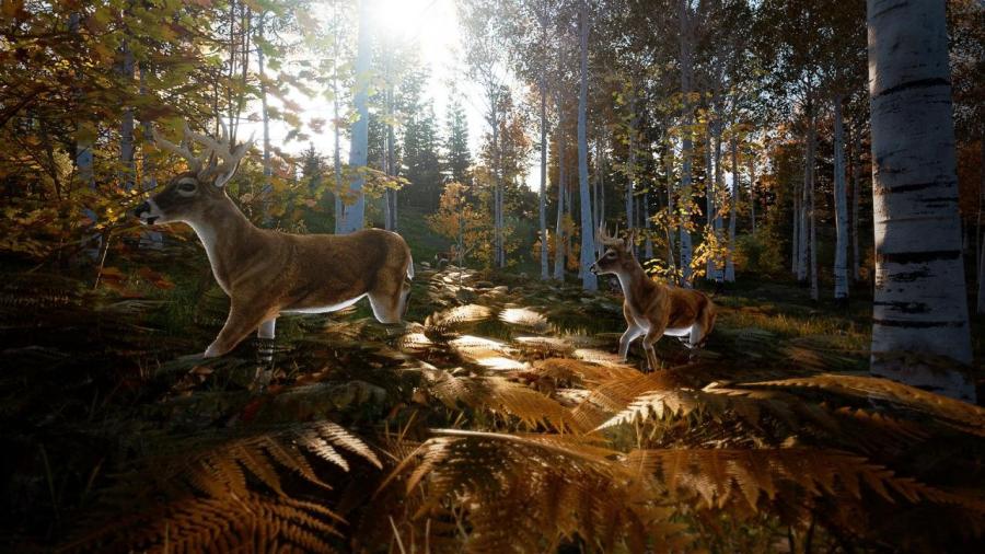 Hunting Simulator 2 
