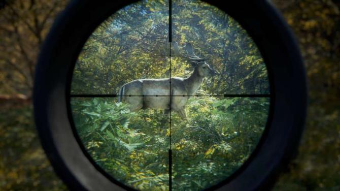 theHunter: Call of the Wild Ultimate Hunting Bundle 